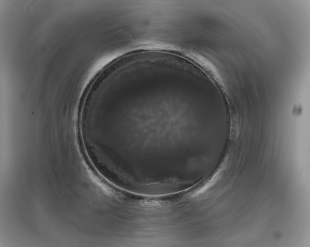 X0000097631231200803071524