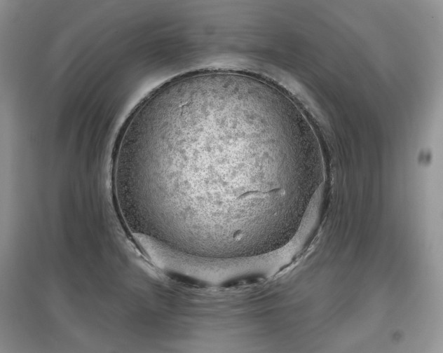 X0000097631232200803071524