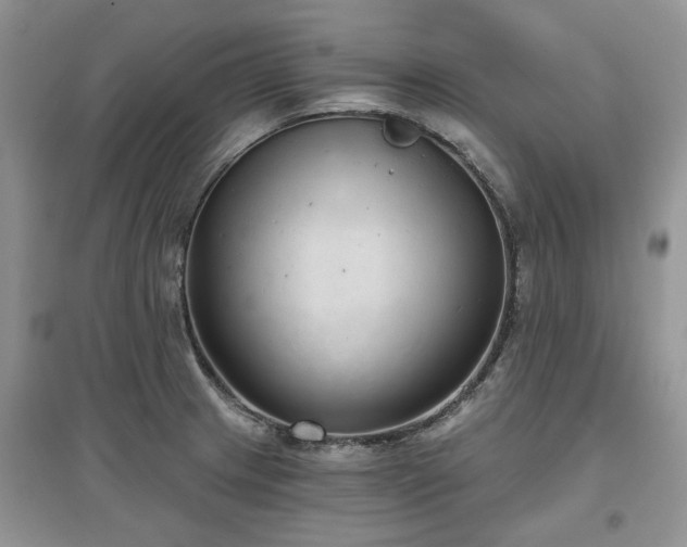 X0000097631233200803071524