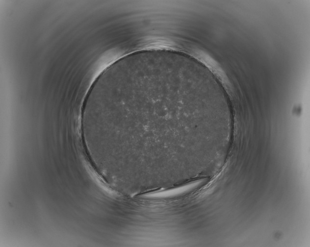 X0000097631234200803071524