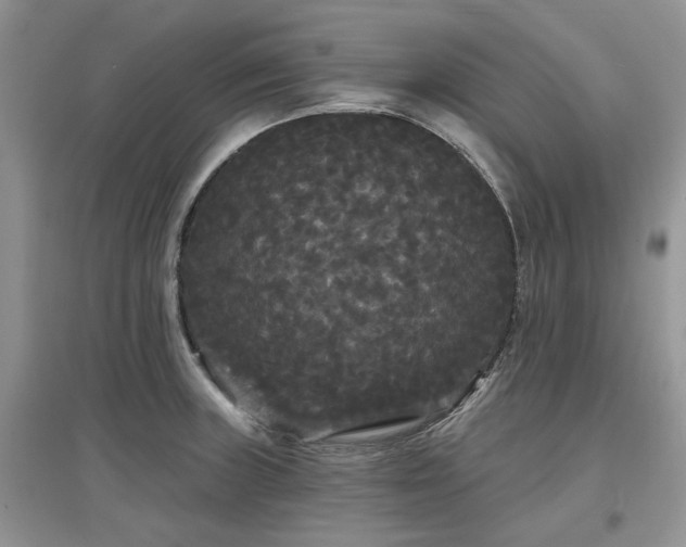 X0000097631235200803071524