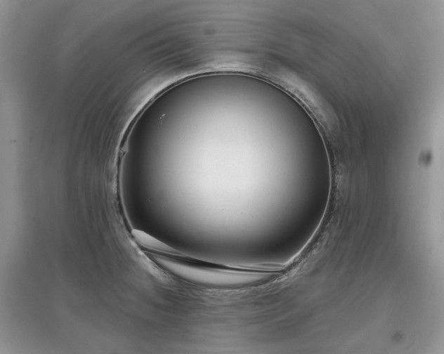 X0000097631236200803071524