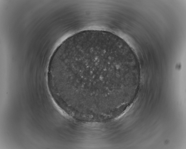 X0000097631237200803071524