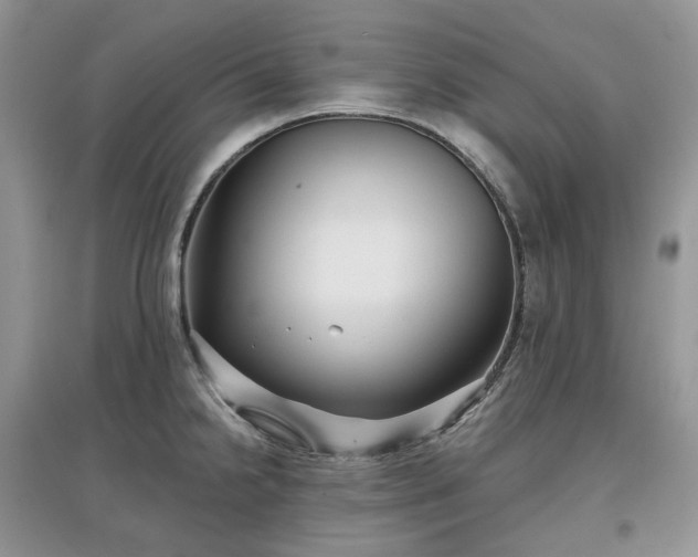 X0000097631238200803071524