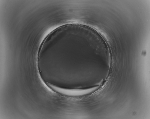 X0000097631239200803071524