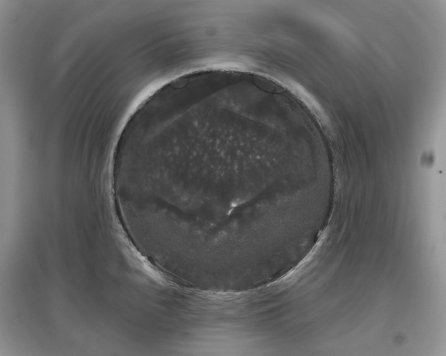 X0000097631240200803071524