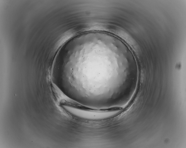 X0000097631241200803071524