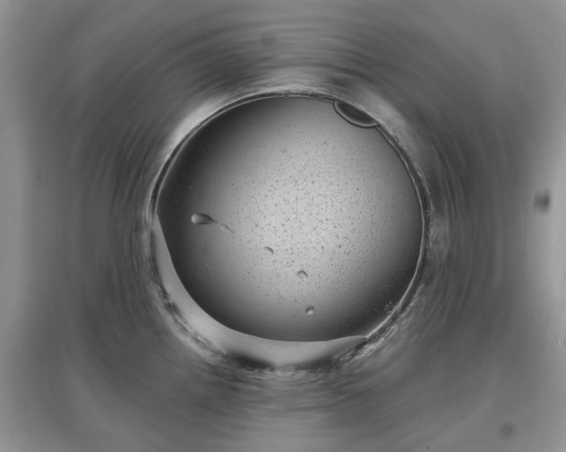 X0000097631242200803071524