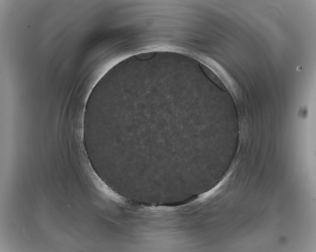 X0000097631244200803071524