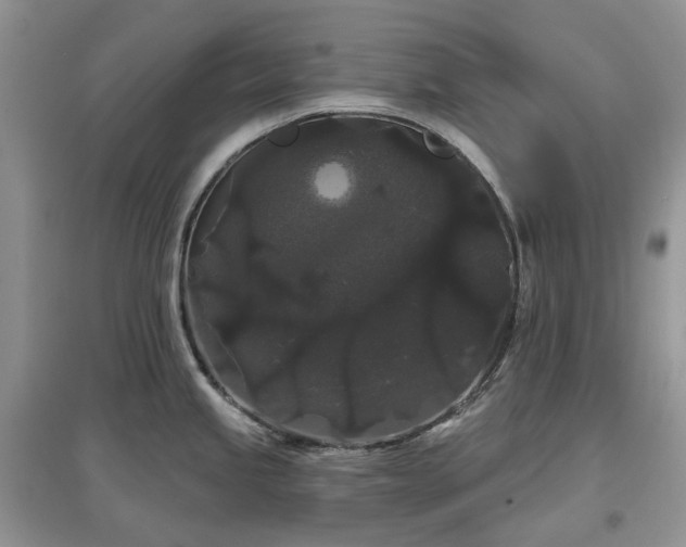 X0000097631245200803071524