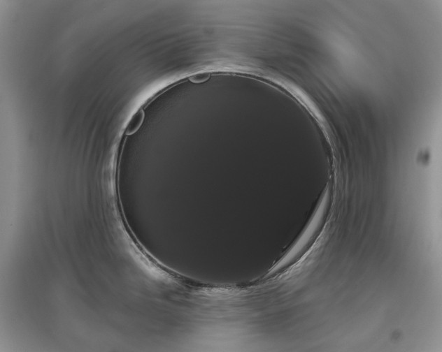 X0000097631246200803071524