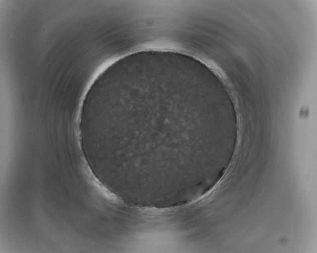 X0000097631248200803071524