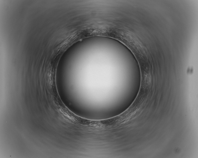 X0000097631250200803071524