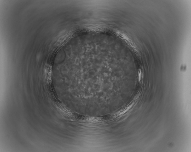 X0000097631251200803071524