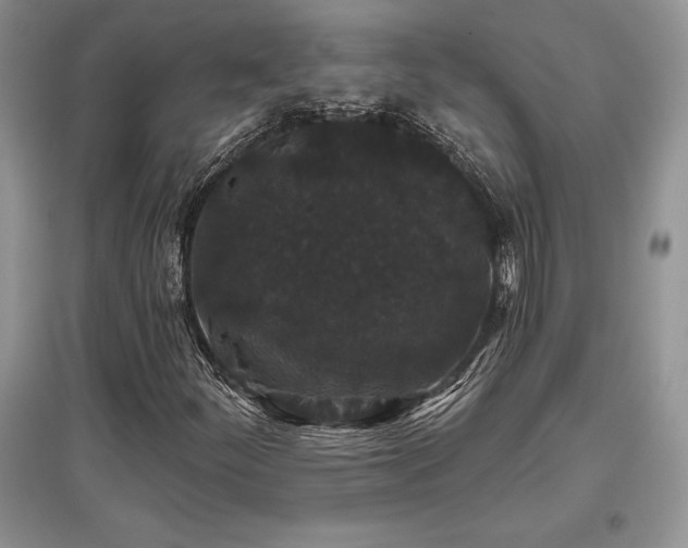 X0000097631252200803071524