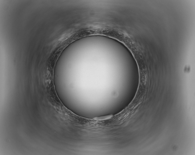 X0000097631253200803071524