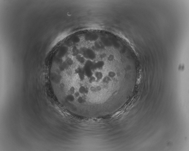 X0000097631255200803071524