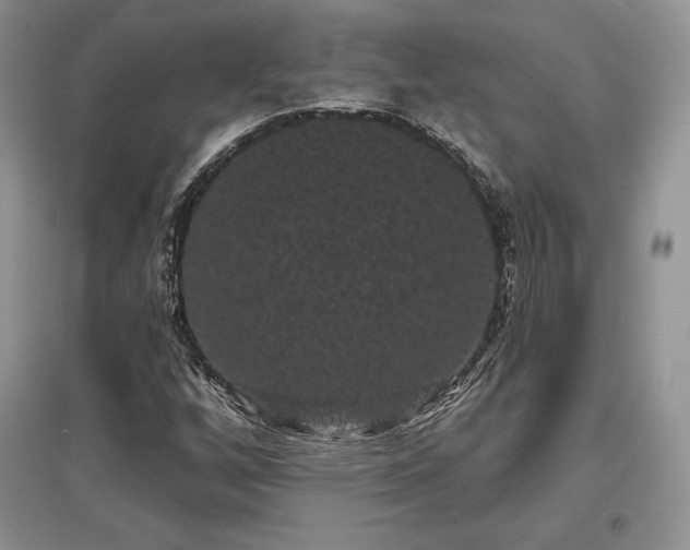 X0000097631256200803071523