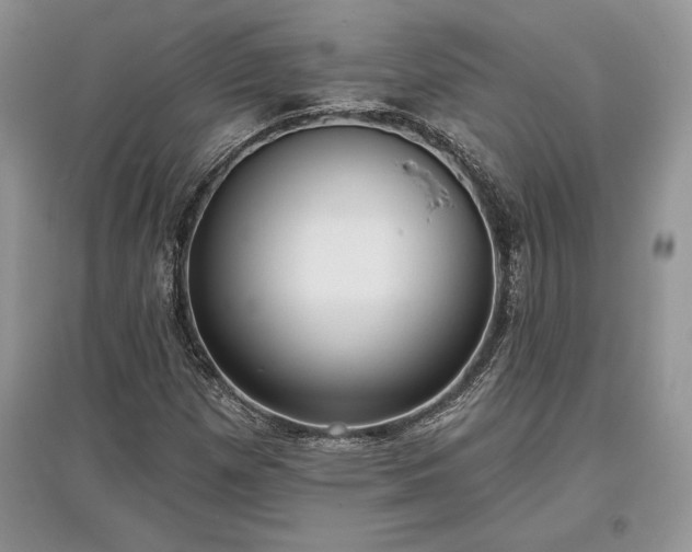 X0000097631257200803071523