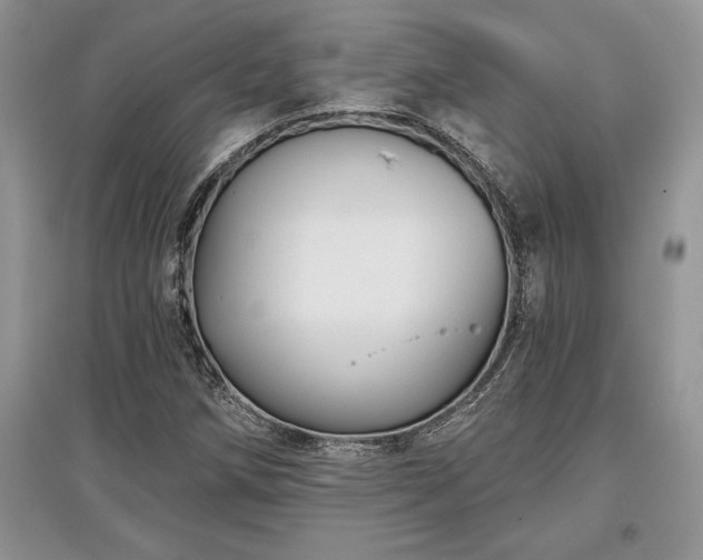 X0000097631258200803071523