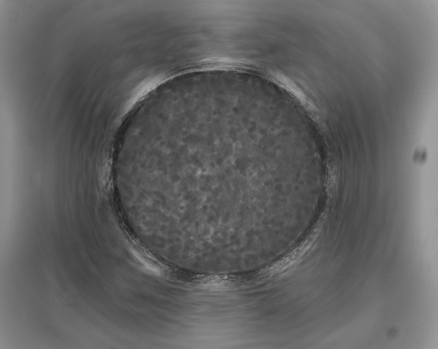 X0000097631259200803071523