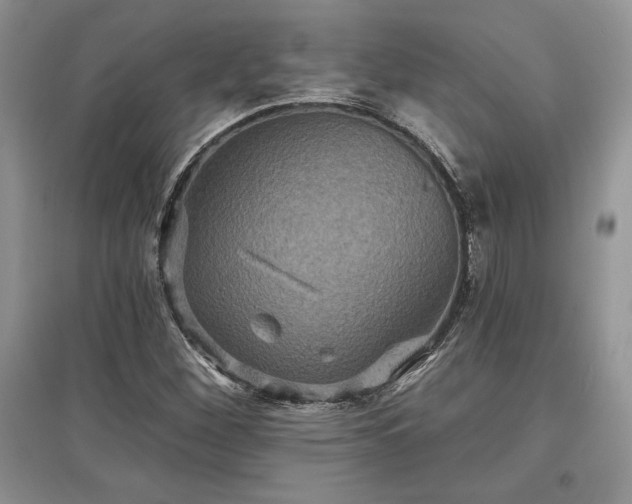 X0000097631260200803071523