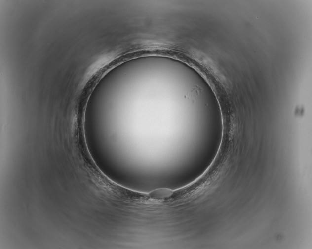 X0000097631261200803071523