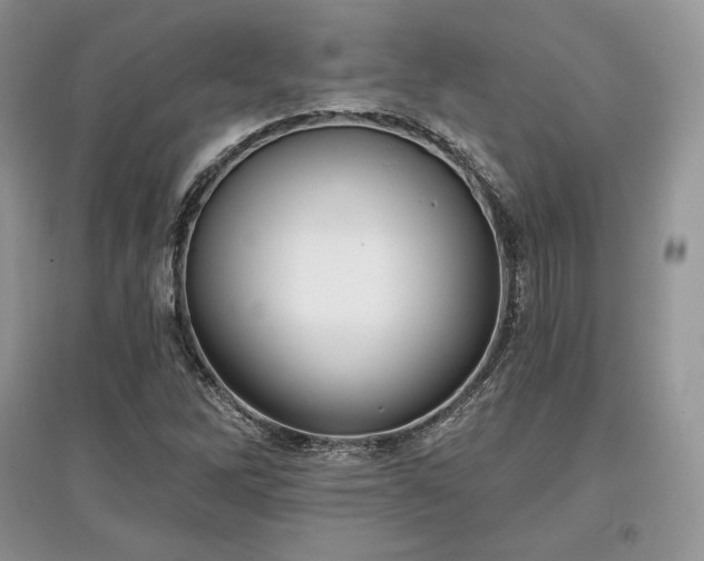 X0000097631262200803071523