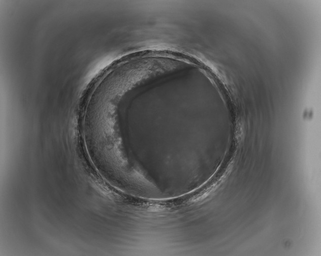 X0000097631263200803071523