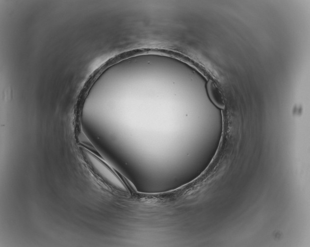 X0000097631264200803071523