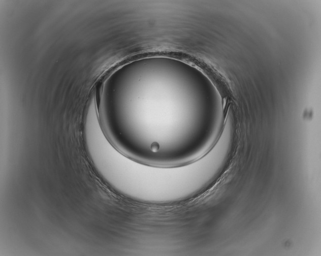 X0000097631265200803071523