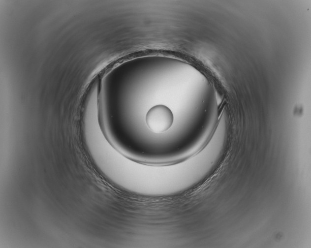 X0000097631266200803071523