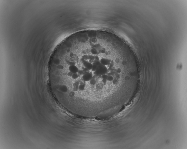 X0000097631267200803071523