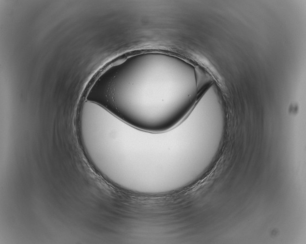 X0000097631268200803071523