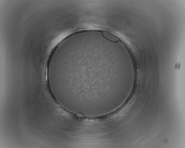 X0000097631269200803071523