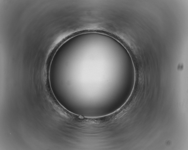 X0000097631270200803071523