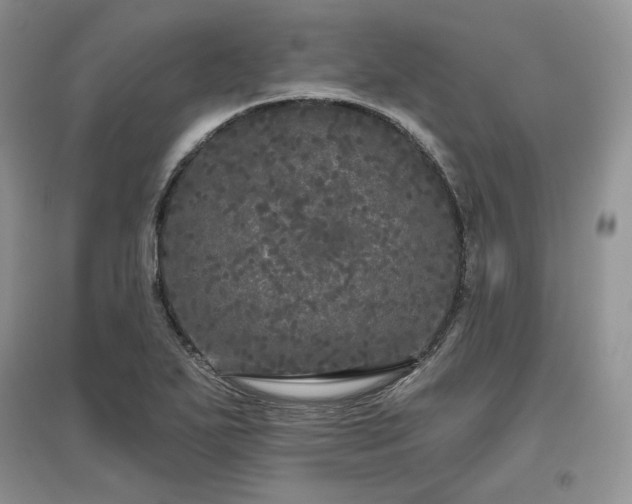 X0000097631271200803071523