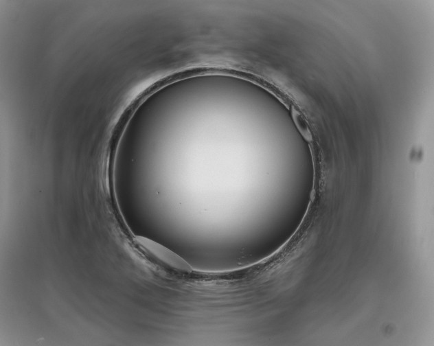 X0000097631272200803071523