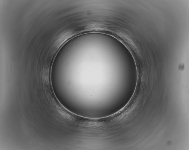 X0000097631273200803071523