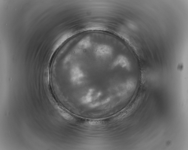 X0000097631274200803071523