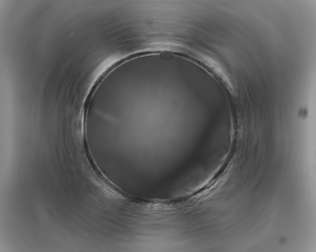 X0000097631275200803071523