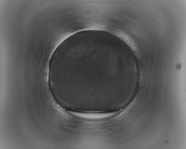 X0000097631276200803071523