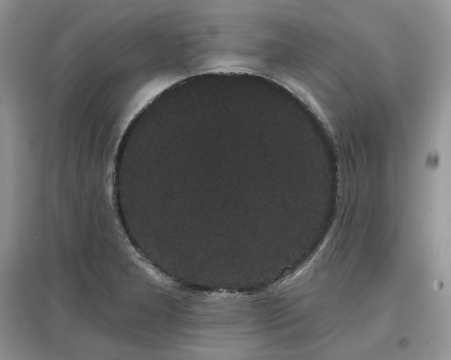 X0000097631277200803071523