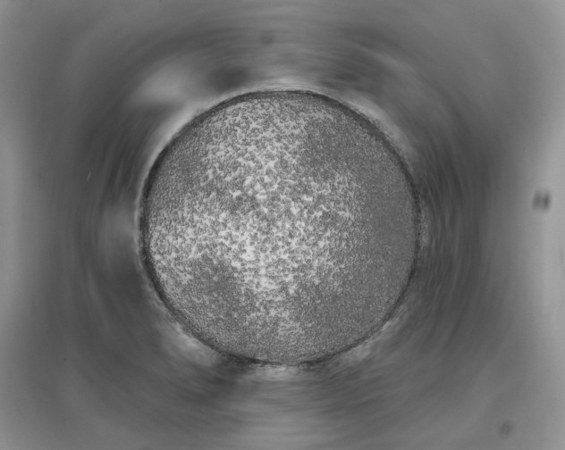 X0000097631278200803071523