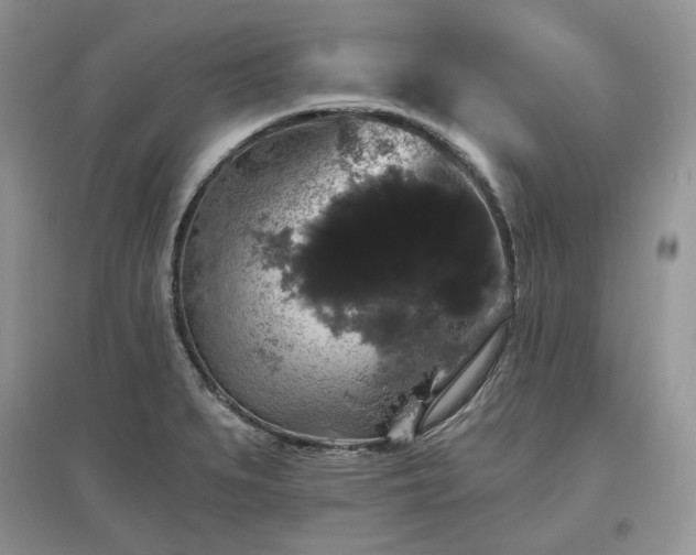 X0000097631279200803071523