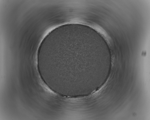 X0000097631280200803071523