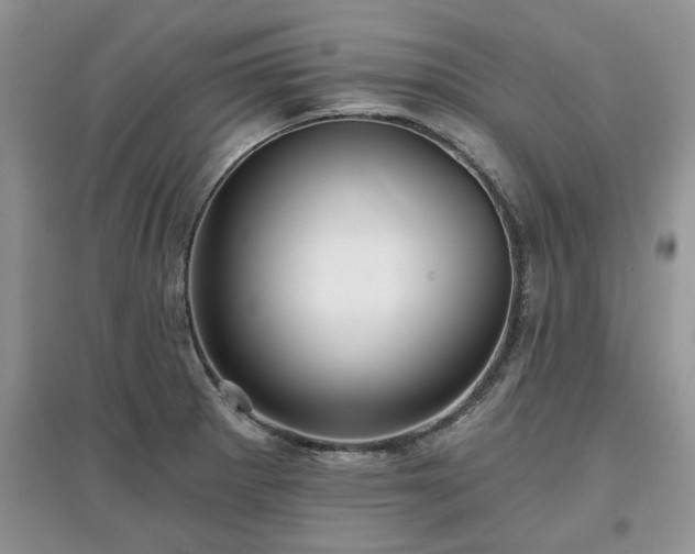 X0000097631281200803071523