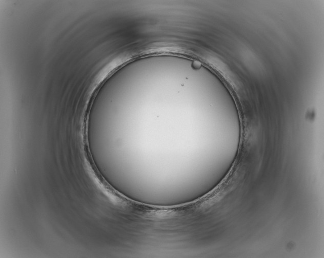 X0000097631282200803071523