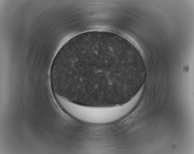 X0000097631283200803071523