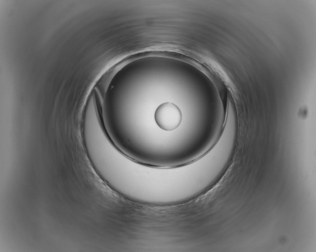 X0000097631284200803071523